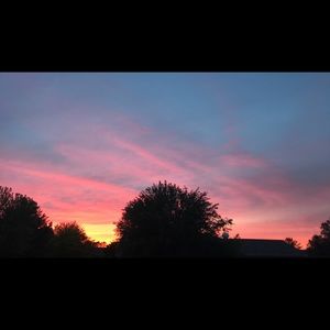 Meet your Posher, Lena